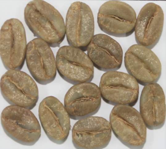 Arabica Cherry A