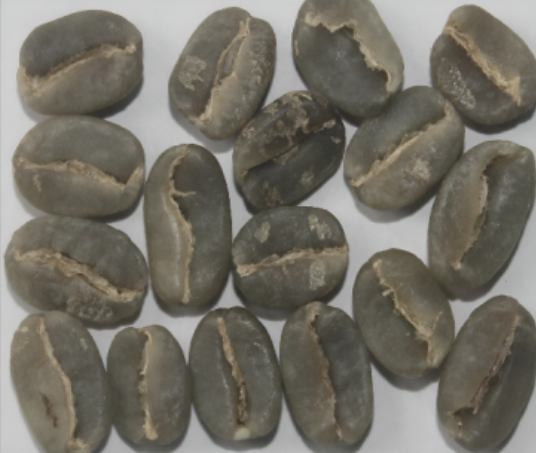 Arabica Plantation A