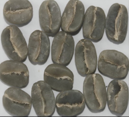 Arabica Plantation AA