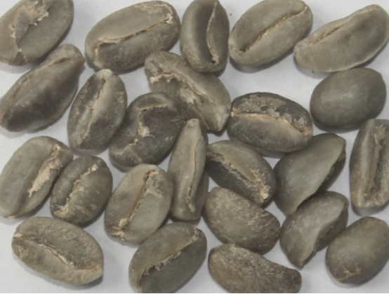 Arabica Plantation Bulk