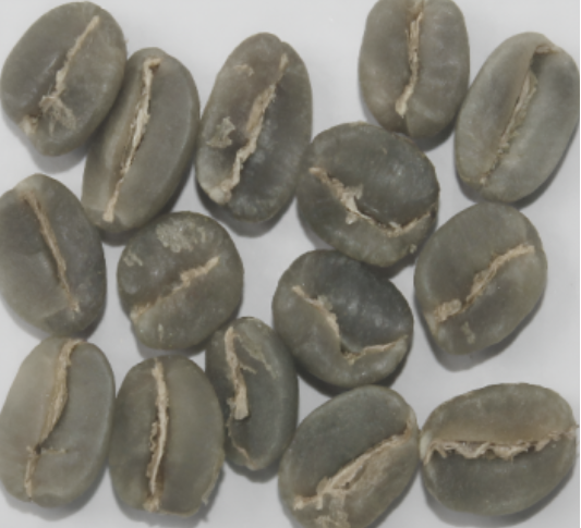 Arabica Plantation MNEB