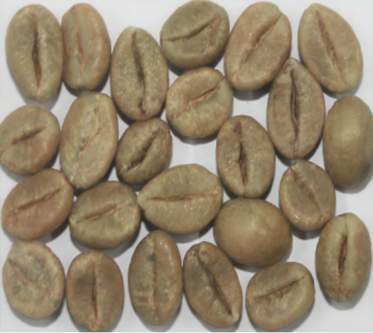 Robusta Cherry AB