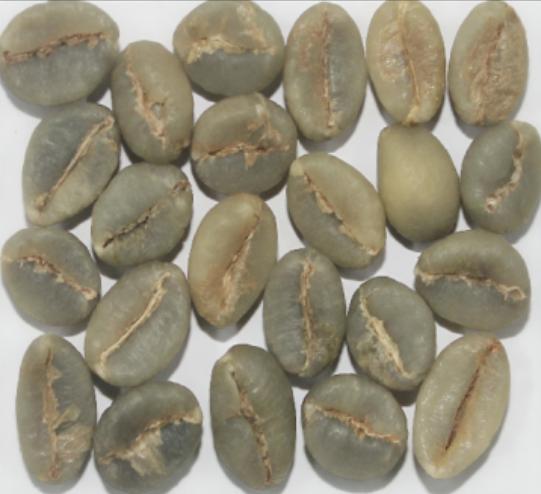 Robusta Parchment AB