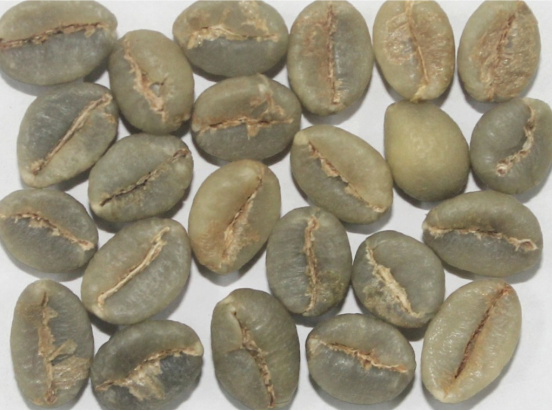 Robusta Parchment Bulk