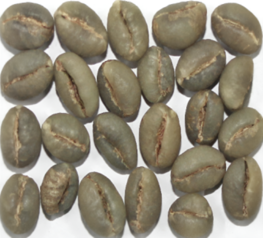 Robusta Parchment PB